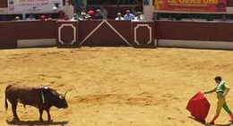 obrázek - Vic-Fezensac