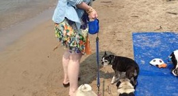 obrázek - Pinery Provincial Park Dog Beach