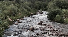 obrázek - The Cabin