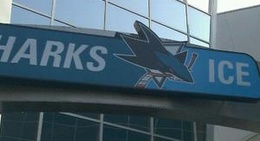 obrázek - Sharks Ice at San Jose