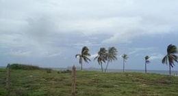 obrázek - Barra de potosi