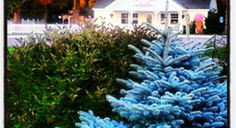 obrázek - Paul Bunyan Trail Pequot Lakes