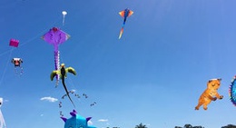 obrázek - Pelican Park