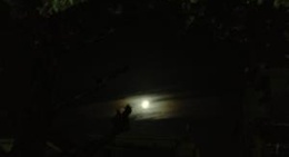 obrázek - 五島市中央公園