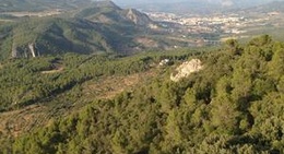 obrázek - Font Roja