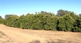 obrázek - Wentworth Showgrounds