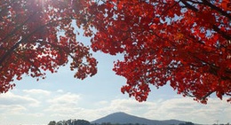 obrázek - Lake Burley Griffin
