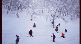 obrázek - Niseko Annupuri International Ski Area (ニセコアンヌプリ国際スキー場)
