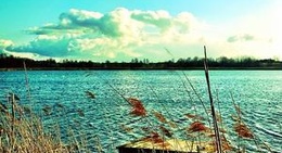 obrázek - Stadnina Janów Podlaski