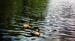 obrázek - Flakensee