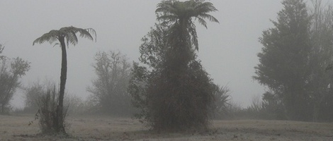 obrázek - Mangakino