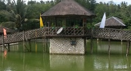 obrázek - AC Tilapia Fun Fishing