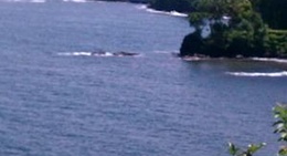 obrázek - Hamakua Coast