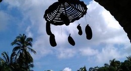 obrázek - el bajareque