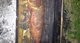 obrázek - Кисляк