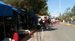 obrázek - Alameda Arteaga