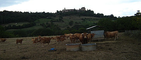 obrázek - Loubressac