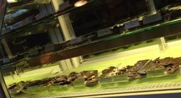 obrázek - Arrowhead Chocolates