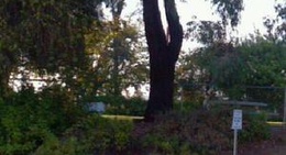 obrázek - Starlight Park