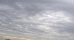 obrázek - Wood County