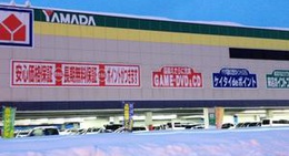 obrázek - ヤマダ電機 テックランドＮｅｗ湯沢店