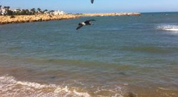 obrázek - Mrissa Tamaris