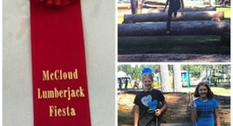 obrázek - Hoo Hoo Park