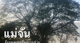 obrázek - อำเภอแม่จัน (Mae Chan District)