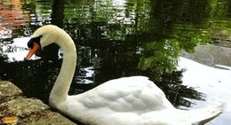 obrázek - Jardin d'Emonville