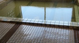 obrázek - 花の湯温泉