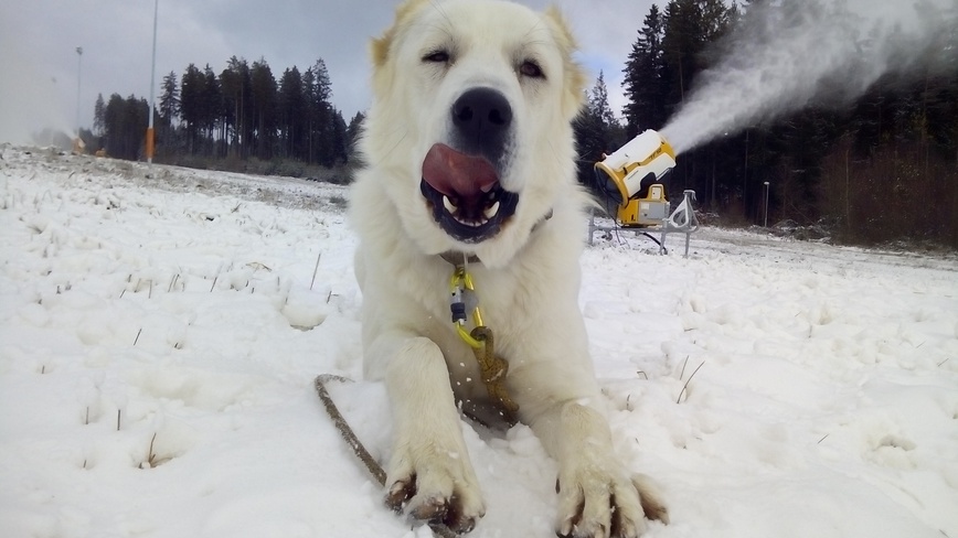 Apartmány Mirka Lipno - Apartmány Mirka Lipno - Murzík ve skiareálu Lipno Kramolín