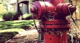 obrázek - City of Anderson