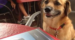 obrázek - Edina Grill