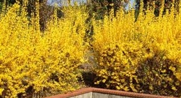 obrázek - Parco Città