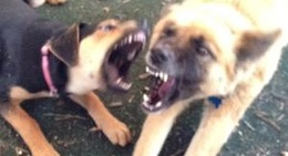 obrázek - Friarsgate