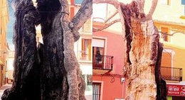 obrázek - Plaza de la Palla