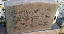 obrázek - Springfield