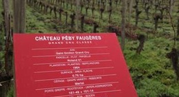 obrázek - Chateau Peby Faugeres