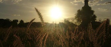 obrázek - Charters Towers
