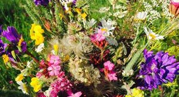 obrázek - Sarıkamış Soğuk Su Tabiat Parkı