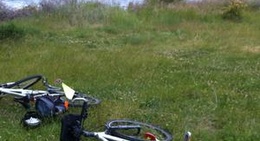 obrázek - Adventure South Picnic Spot