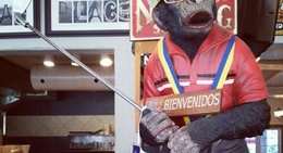 obrázek - Ella's Place