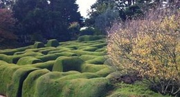 obrázek - Ashcombe Maze & Lavender Gardens