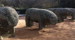 obrázek - Toros de Guisando