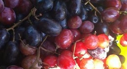 obrázek - Dairy Queen