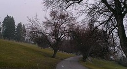 obrázek - Polson Bay Golf Course