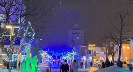 obrázek - Heiwa dori shopping street (平和通買物公園)