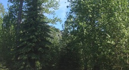 obrázek - Cooper Creek Campground