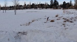 obrázek - Timberline Golf