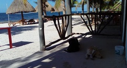 obrázek - Cabañas Perla Escondida